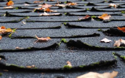 The Importance of Yearly Roof Maintenance