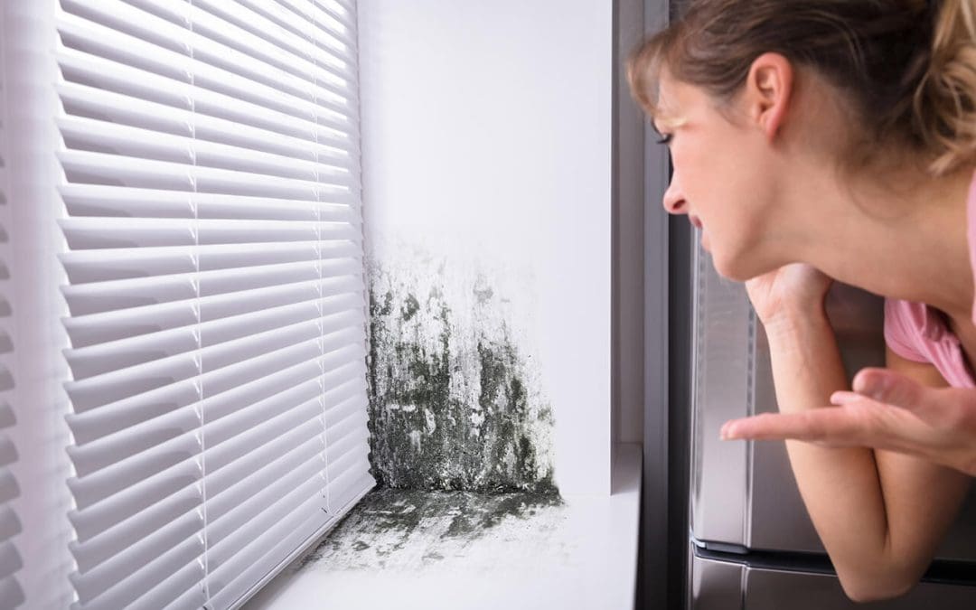 causes of mold