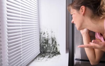 Understanding the Causes of Mold in Your Home